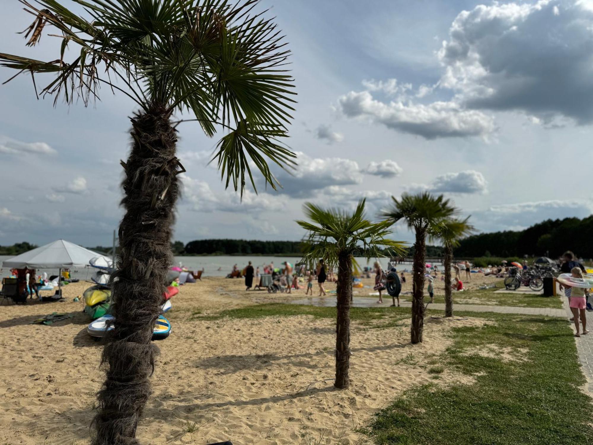 Apartament Nad Zalewem Zamość Kültér fotó
